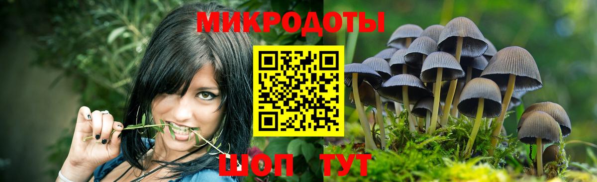 где найти   Вход с VPN  Можайск  Галлюциногенные грибы Psilocybine cubensis  Псилоцибиновые грибы Psilocybine cubensis 